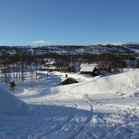 Bergfosshytta Apartman Ron Kültér fotó